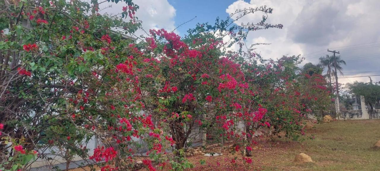 Villa De Assis Suites Alto Paraíso de Goiás エクステリア 写真